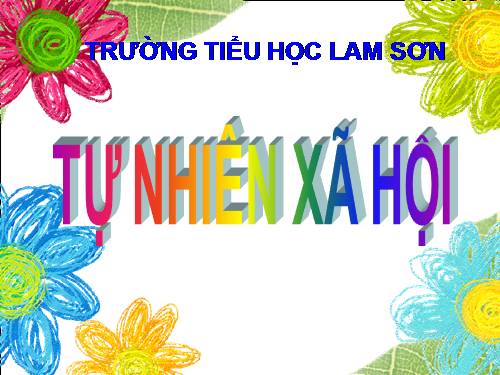 Bài 27-28. Tỉnh (thành phố) nơi bạn đang sống