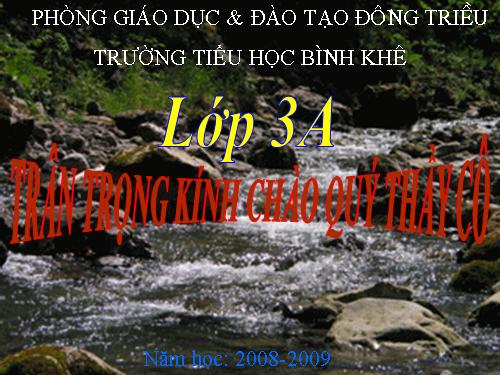 Bài 46. Khả năng kì diệu của lá cây