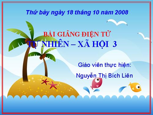 Bài 19. Các thế hệ trong một gia đình