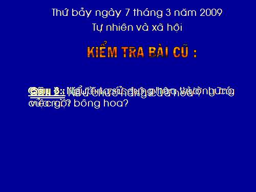 Bài 48. Quả