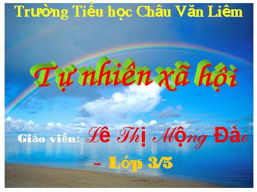 Bài 27-28. Tỉnh (thành phố) nơi bạn đang sống