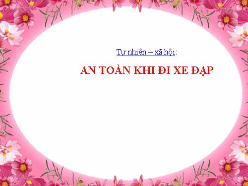 Bài 33. An toàn khi đi xe đạp