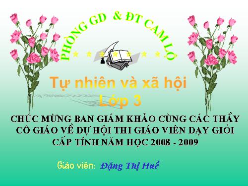 Bài 44. Rễ cây (tiếp theo)