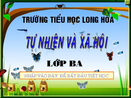 Bài 49. Động vật