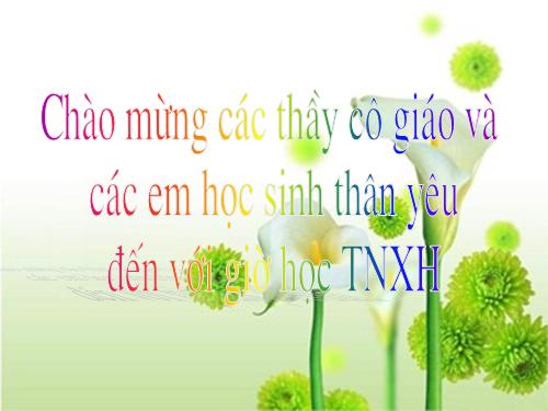 Bài 46. Khả năng kì diệu của lá cây