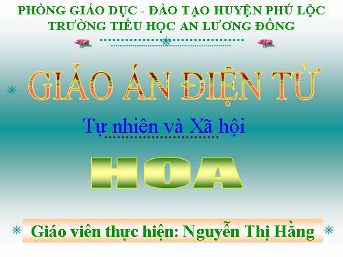 Bài 47. Hoa