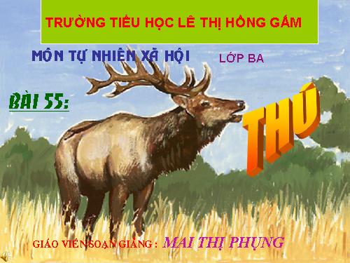 Bài 55. Thú (tiếp theo)