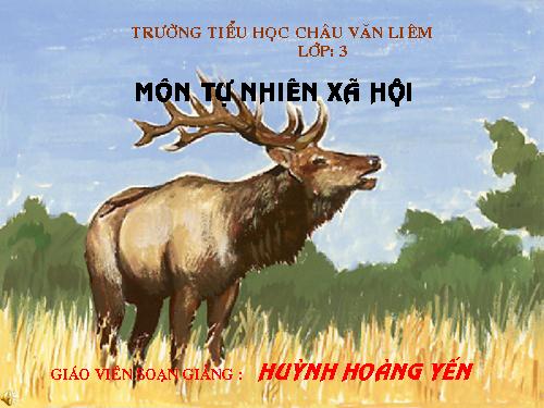 Bài 55. Thú (tiếp theo)