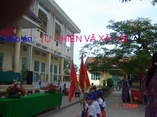 Bài 15. Vệ sinh thần kinh