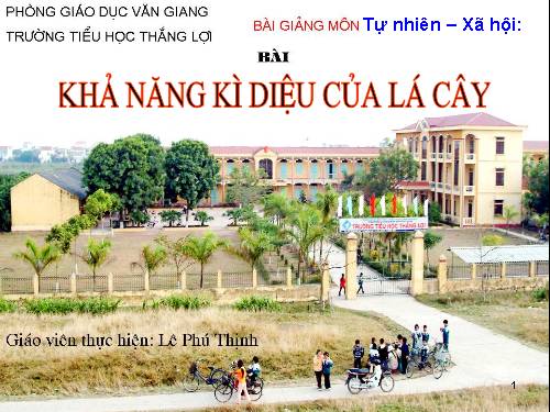 Bài 46. Khả năng kì diệu của lá cây