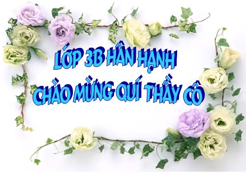 Bài 46. Khả năng kì diệu của lá cây