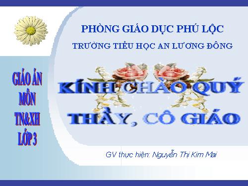 Bài 62. Mặt Trăng là vệ tinh của Trái Đất