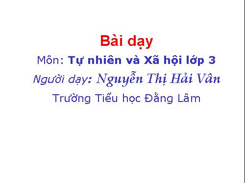 Bài 27-28. Tỉnh (thành phố) nơi bạn đang sống