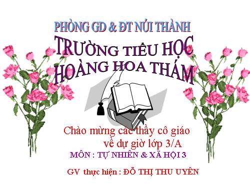 Bài 30. Hoạt động nông nghiệp