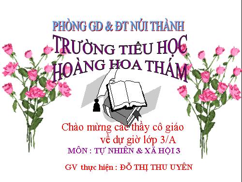 Bài 30. Hoạt động nông nghiệp