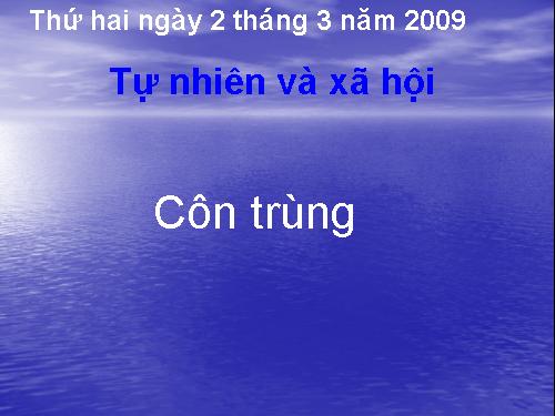 Bài 50. Côn trùng