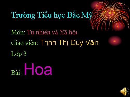 Bài 47. Hoa