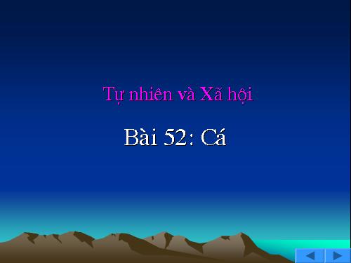 Bài 52. Cá