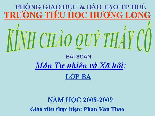 Bài 46. Khả năng kì diệu của lá cây