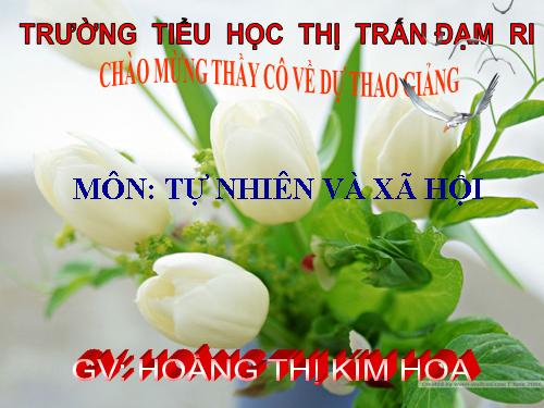 Bài 32. Làng quê và đô thị