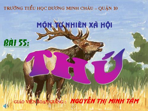 Bài 55. Thú (tiếp theo)