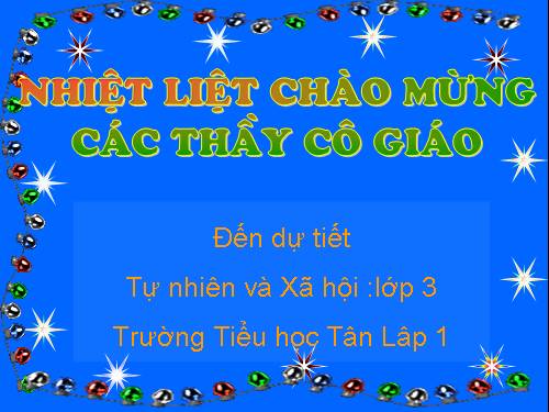 Bài 41. Thân cây