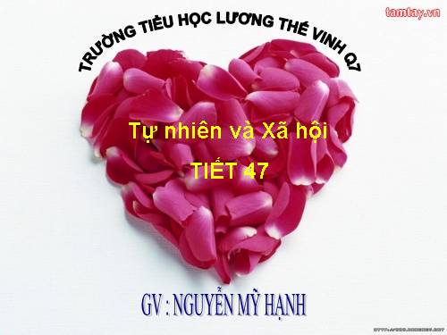 Bài 47. Hoa