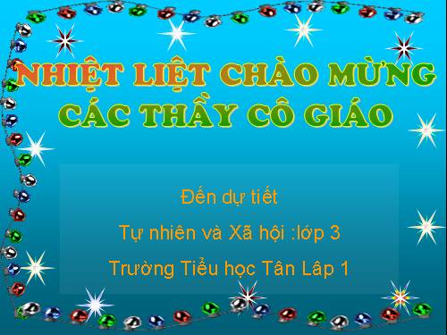 Bài 33. An toàn khi đi xe đạp