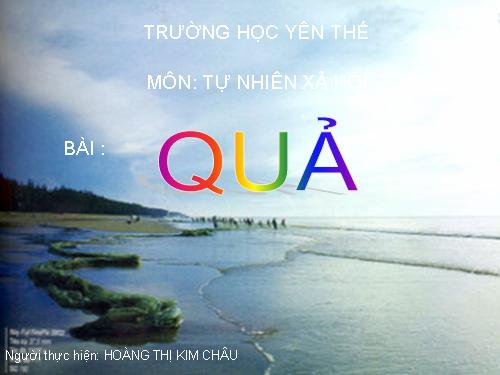 Bài 48. Quả