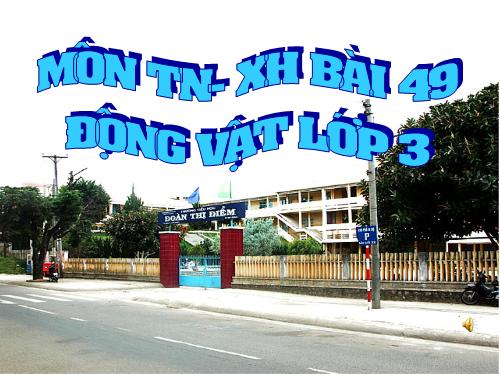 Bài 49. Động vật