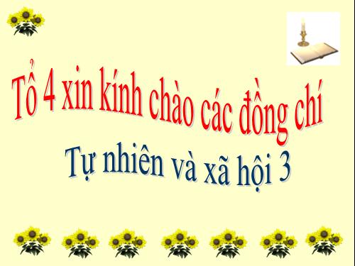 Bài 19. Các thế hệ trong một gia đình