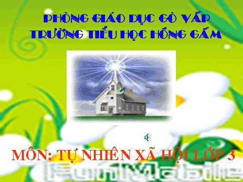 Bài 26. Không chơi các trò chơi nguy hiểm