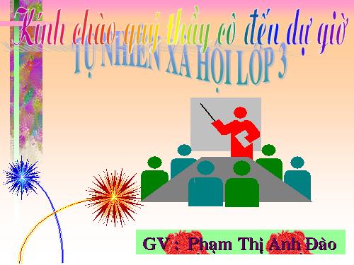 Bài 31. Hoạt động công nghiệp, thương mại