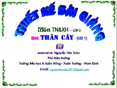 Bài 41. Thân cây