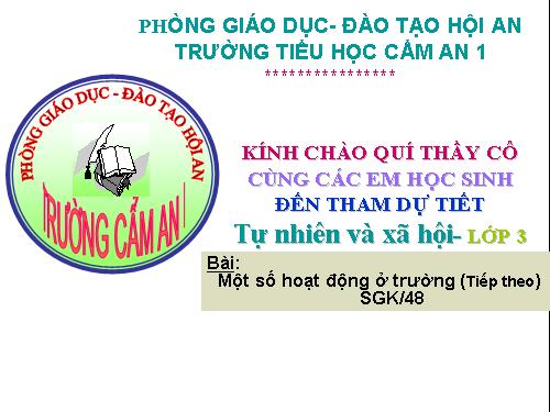 Bài 25. Một số hoạt động ở trường (tiếp theo)