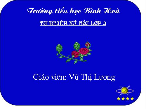 Bài 19. Các thế hệ trong một gia đình