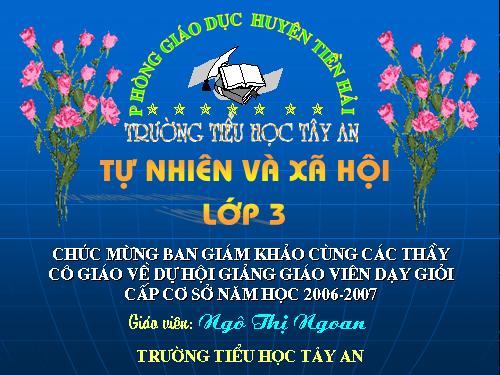 Bài 44. Rễ cây (tiếp theo)