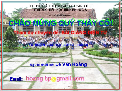 Bài 19. Các thế hệ trong một gia đình