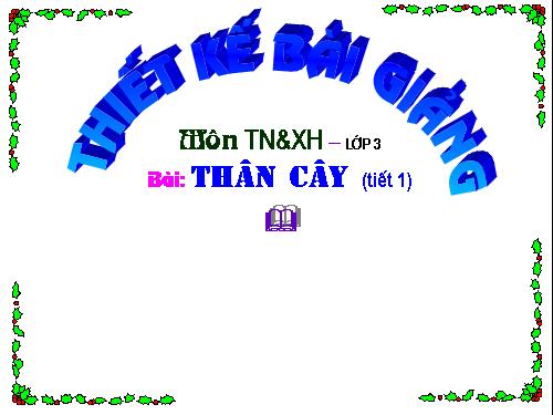 Bài 41. Thân cây