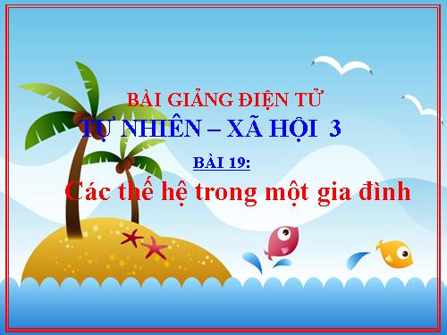 Bài 19. Các thế hệ trong một gia đình