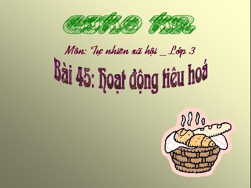 Hệ tiêu hóa