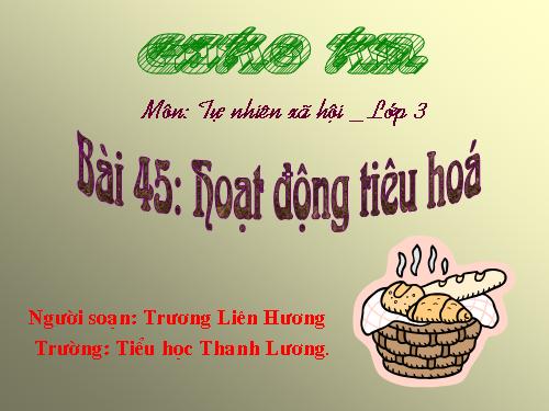 Bài 45: Hoạt động  tiêu hóa