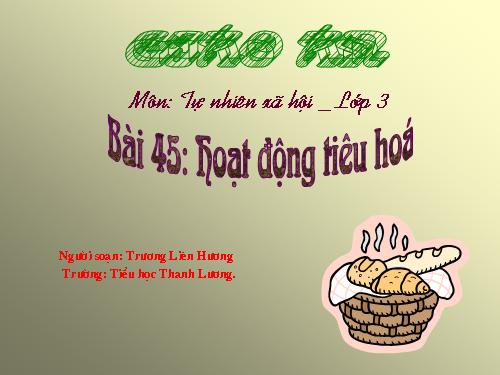 Hoạt động tiêu hóa