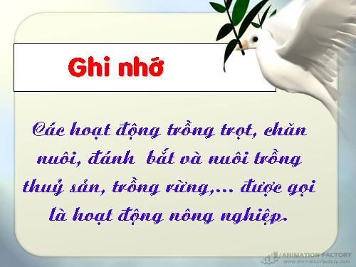 Bài 30. Hoạt động nông nghiệp