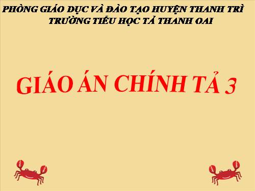 Tuần 26. Nghe-viết: Sự tích lễ hội Chử Đồng Tử