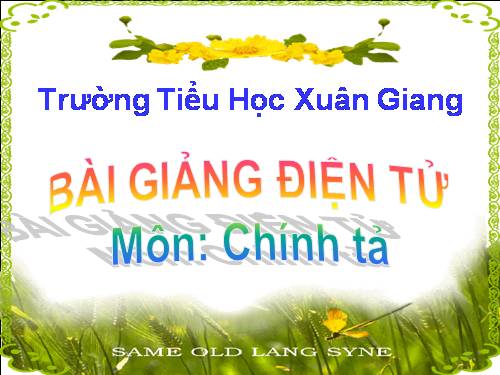 Tuần 28. Nghe-viết: Cuộc chạy đua trong rừng