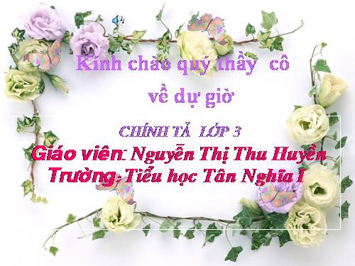 Tuần 4. Nghe-viết: Người mẹ