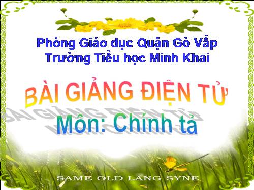 Tuần 28. Nghe-viết: Cuộc chạy đua trong rừng