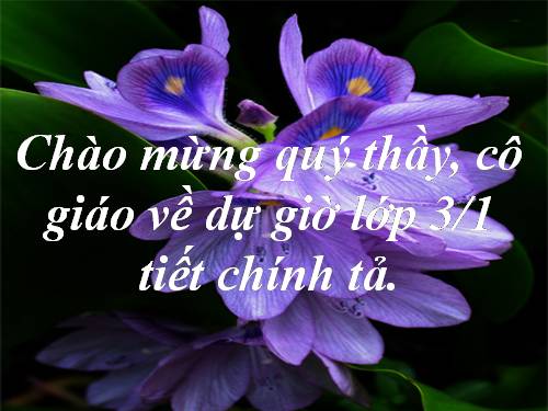 Tuần 21. Nhớ-viết: Bàn tay cô giáo