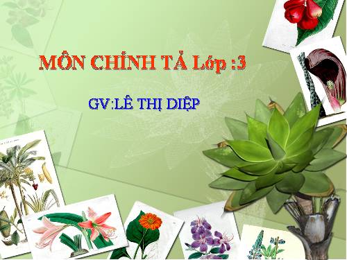 Tuần 32. Nghe-viết: Ngôi nhà chung